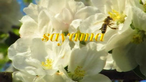 Flower-Pic_Web-small03