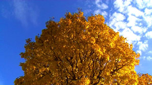Mystic-Pic_Web-small02