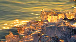 Water-Pic_Web-small