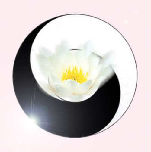 say_logo1